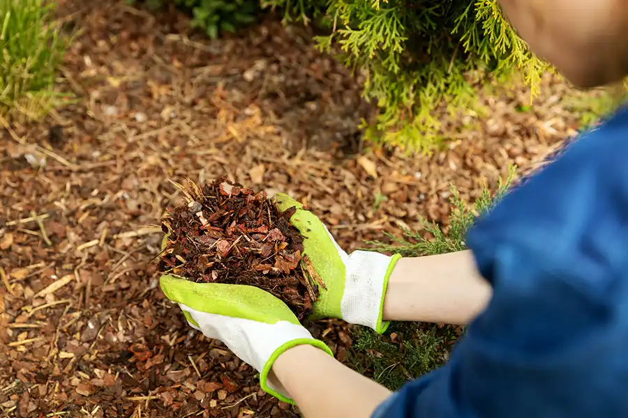 What Is Mulching in Roxboro, NC