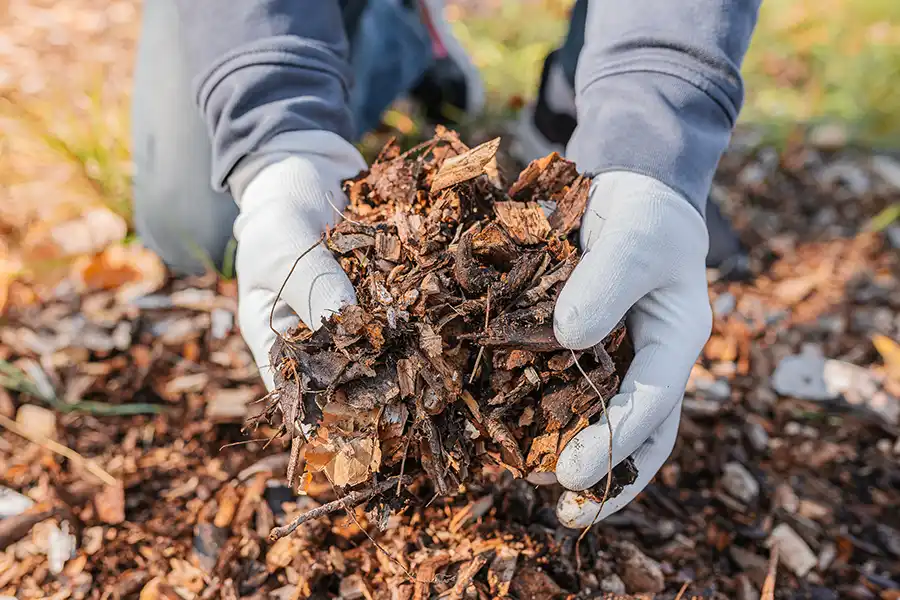 What Is Mulching Roxboro, NC